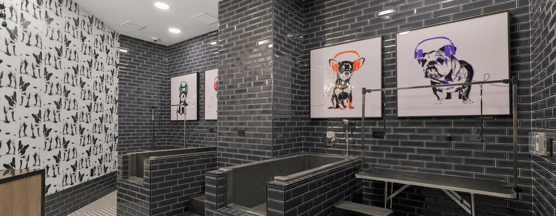 Luxury dog spa at Bria in Symphony Park, Las Vegas, featuring pet washing stations, grooming tables, and a modern pet-friendly design for resident convenience.